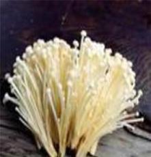 冰肌玉骨，菌中珍品 一探金针菇的千般风味