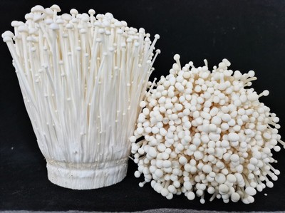 众兴菌业未来发展展望 聚焦金针菇，寻路多元化