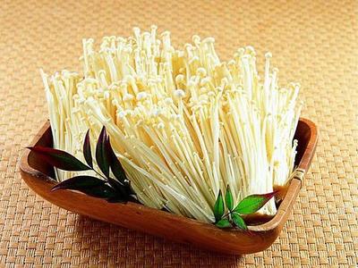 金针菇王的致富路 小菌菇撬动大产业